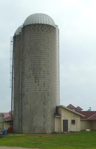 Photo of concrete stave tower silos.